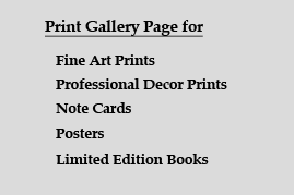 Fine Art Prints<br>Professional Decor Prints<br>Note Cards<br>Posters<br>Limited Edition Books
